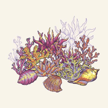 Sea life natural greeting card, underwater vector illustration, 