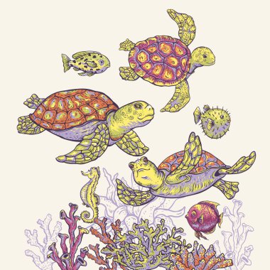 Vintage sea life natural greeting card, underwater vector illust