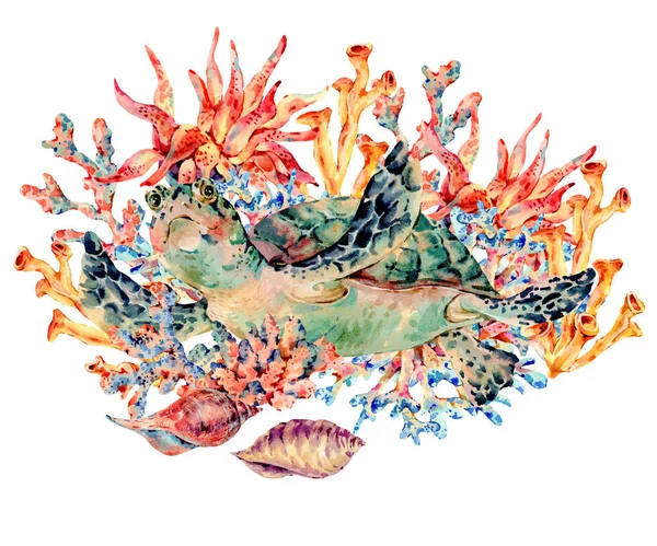 Suluboya klasik deniz yaşamı doğal tebrik kartı — Stok fotoğraf