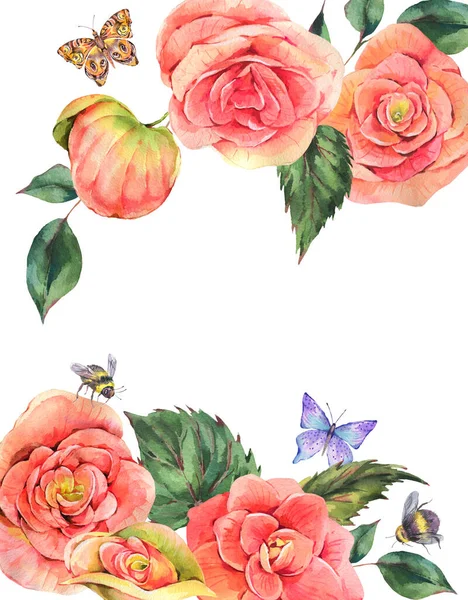 Acquerello Vintage Biglietto Auguri Estivo Begonia Fiori Farfalla Api Illustrazione — Foto Stock