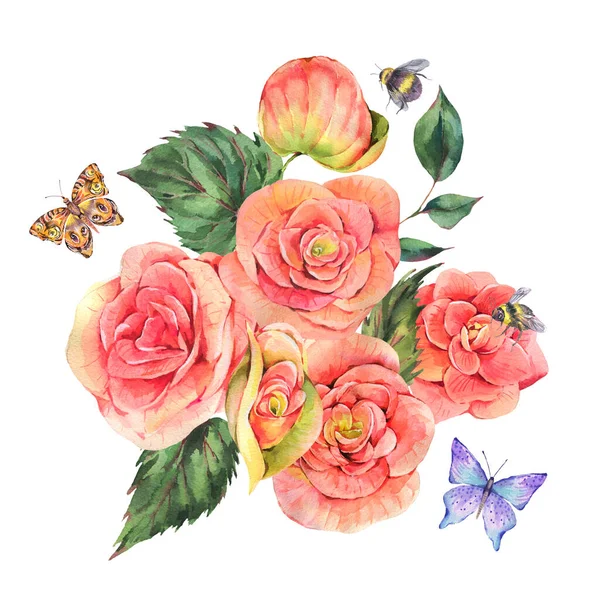 Акварель Старовинні Літні Вітальні Листівки Рожевими Квітами Бегонії Метелик Бджоли — стокове фото