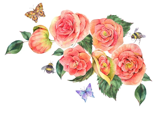 ピンクの開花ベゴニアの花蝶 ミツバチの水彩ヴィンテージ夏のグリーティングカード 白を基調とした自然イラスト 植物コレクション — ストック写真