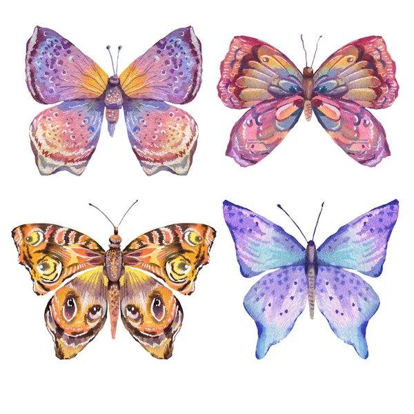 カラフルな蝶の水彩自然セット 白地に隔離された夏の虫図 — ストック写真