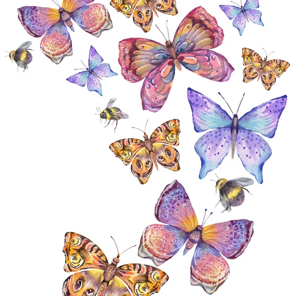 水彩自然カラフルな蝶グリーティングカード 白地に隔離された夏の虫図 — ストック写真