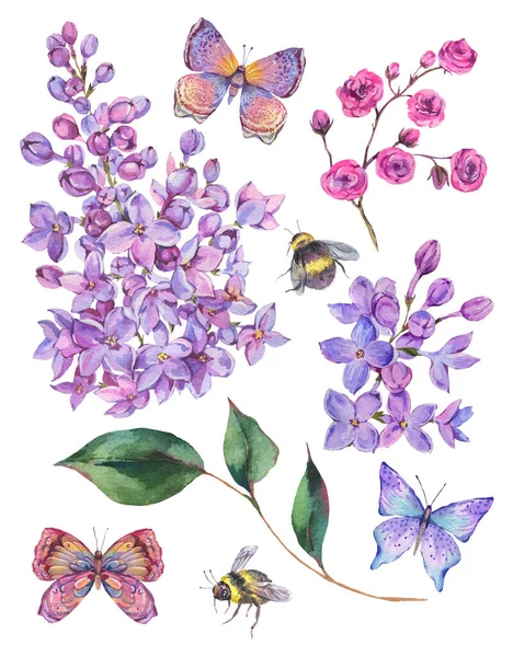 Acuarela Primavera Conjunto Flores Lilas Florecientes Abejas Mariposa Ilustración Vintage —  Fotos de Stock