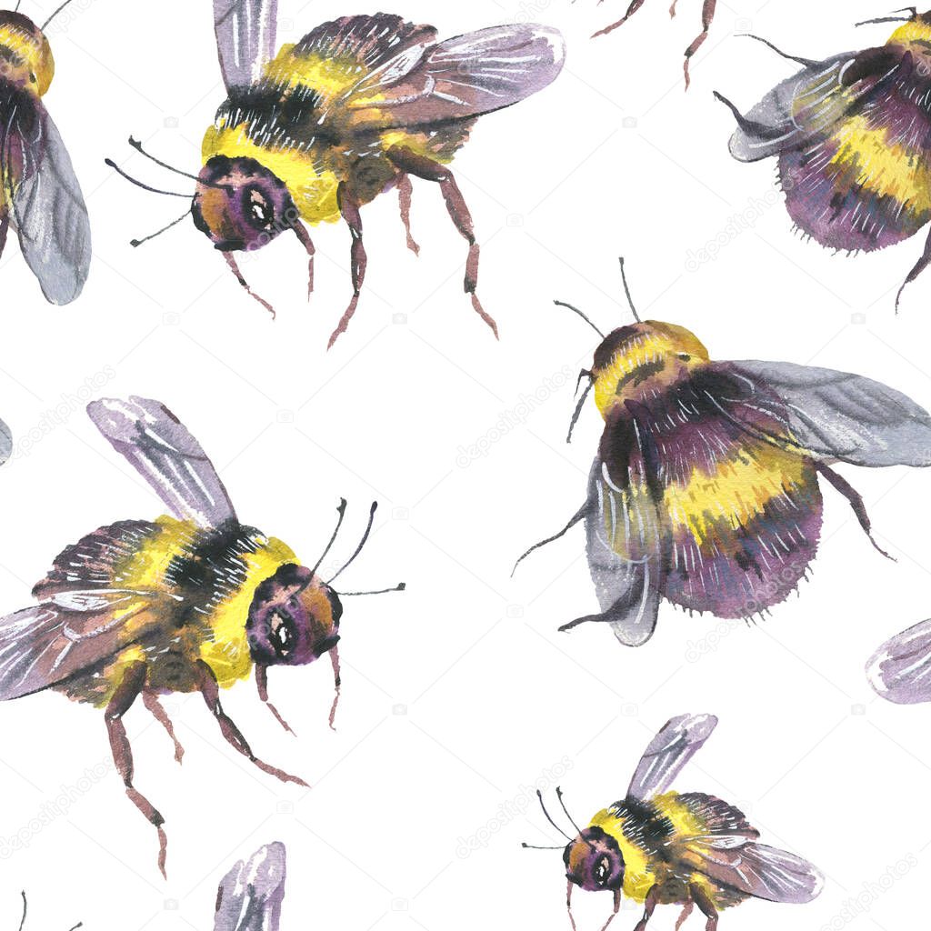 Watercolor bee seamless pattern. Summer natural texture on white background. Vintage wallpaper