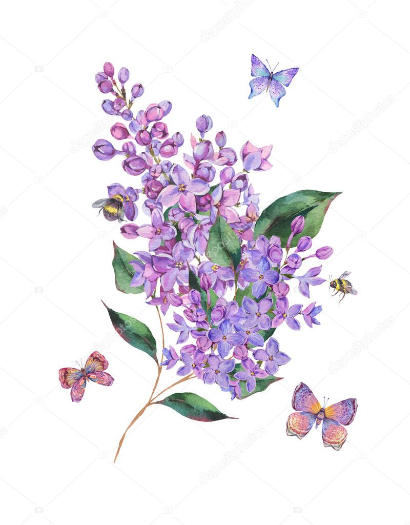Spring watercolor blooming lilacs flowers greeting card, bees and butterfly. Natural floral vintage illustration isolated on white background