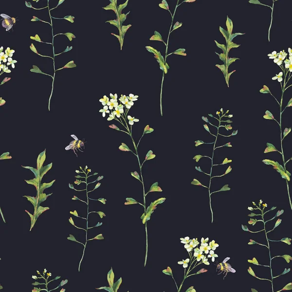 水彩缤纷的波萨河 草原草甸花无缝图案 在黑色背景上的野花植物植物质感 药用花卉采集 — 图库照片