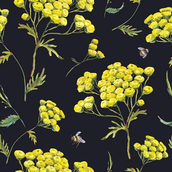 Akwarela Lato Bezszwowy Wzór Łąki Kwiaty Żółte Dzikie Kwiaty Botaniczny — Zdjęcie stockowe