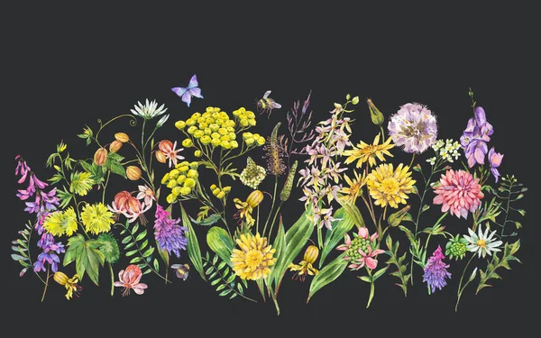 Aquarell Sommerwiese Blumen Wildblumen Grußkarte Botanische Blumenattrappe Auf Schwarzem Hintergrund — Stockfoto