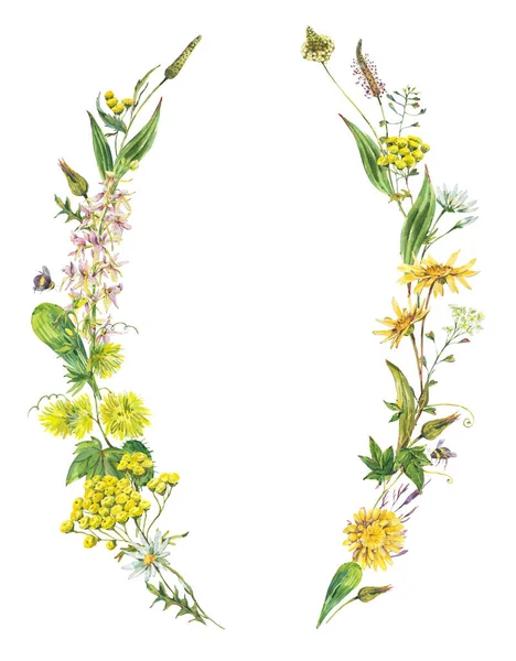 古老的水彩画夏天黄色的草地野花的花环 植物花卉贺卡白色背景 自然框架 药用花卉采集 — 图库照片