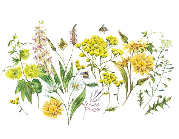 Klasik Suluboya Yaz Sarısı Çayır Çiçekleri Tebrik Kartı Beyaz Arka — Stok fotoğraf