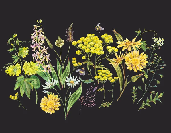 Вінтажний Акварельний Літній Жовтий Луг Диких Квітів Вітальна Листівка Ботанічна — стокове фото
