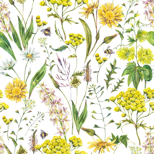 Vintage Watercolor Summer Yellow Meadow Wildflowers Seamless Pattern Botanical Floral — Stock Photo, Image