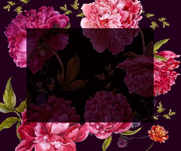 Акварель Бургундские Пионы Естественные Темно Розовые Пионы Цветок Ягоды Полевые — стоковое фото
