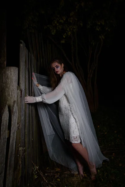 Sposa Morta Inquietante Notte Una Palude Scena Halloween — Foto Stock