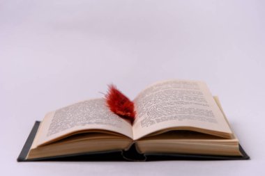Beyaz arkaplanda yer imi olan bir kitap aç