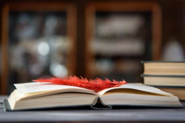 Tahta bir masanın üzerinde kitap ayracı olan açık bir kitap.
