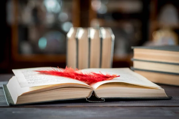 Tahta bir masanın üzerinde kitap ayracı olan açık bir kitap.