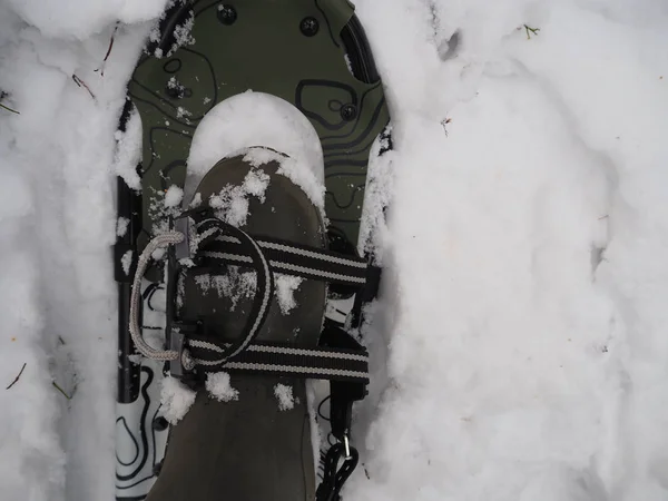 Sujeción Raquetas Nieve Detalles Primer Plano —  Fotos de Stock