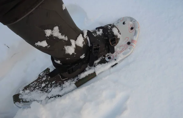 Hombre Mueve Sobre Raquetas Nieve Nieve — Foto de Stock