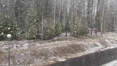 Bir kır evinin yanında kar yağıyor.