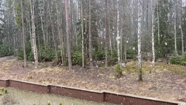 Il neige près d'une maison de campagne 