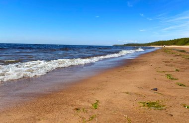 Deniz kıyısında sörf