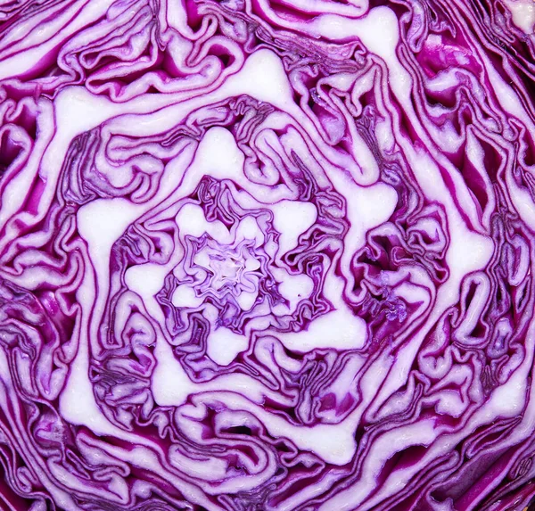Halb Rotkohl in violett-weißen Farben, Hintergrundstruktur. Makrorotkohl-Detail — Stockfoto