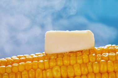 Kaynamış mısır ve bir parça tereyağlı buhar mavi arka planda geliyor. Kopyalama alanı