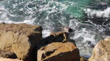 Güneşli bir günde Tel Aviv bölgesindeki Akdeniz taşlarında sörf yapmak