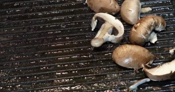 Mulher Espalha Champignon Cogumelos Brancos Uma Placa Com Nervuras Para — Vídeo de Stock