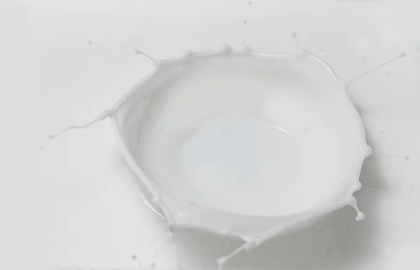 Frische Milch gießt eine Krone in einen Milchpool. Draufsicht, isoliert auf grau-weißem Hintergrund — Stockfoto