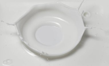 Taze süt, süt havuzunda bir taç sıçraması yapıyor. Üst görünüm, gri-beyaz arkaplanda izole edilmiş