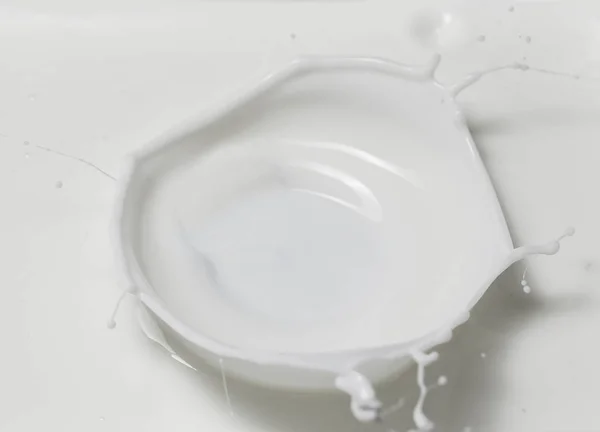 Fresh milk pouring making a crown splash in a milk pool. Top view, isolated on grey-white background — Stock Photo, Image