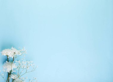 Beyaz çiçekli mavi arka plan. Mavi Doku.