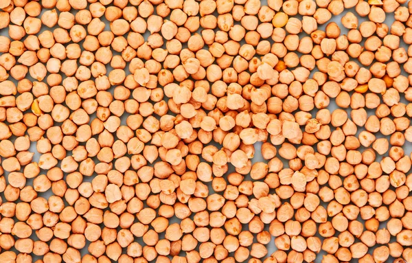 Feche o fundo do húmus, sementes de húmus. Conceito de alimentação saudável. Vista de cima — Fotografia de Stock