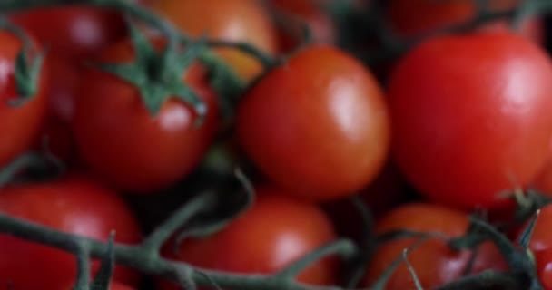 Tomates Cherry Frescos Con Gotitas Agua Giran Plato Negro Oscuro — Vídeo de stock