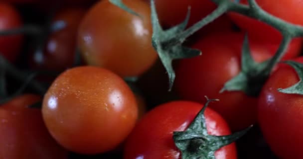 带有水滴的新鲜樱桃西红柿在黑暗的黑色盘子里旋转 — 图库视频影像