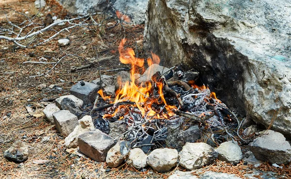 Falò Allevato Una Foresta Rami Coni Abete Rosso Pietre Sono — Foto Stock