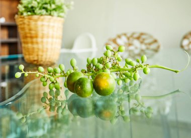 Taze yeşil üzümler ve mandalinalar cam zemin üzerinde yansıma ve kopyalama alanı ile.