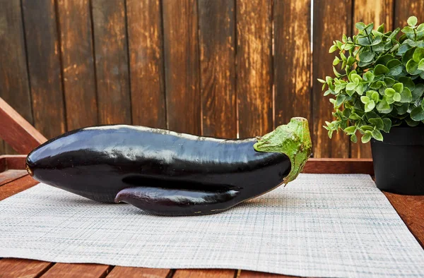 Modisch Hässliche Bio Auberginen Auf Braunem Holzgrund Mit Grauem Untergrund — Stockfoto