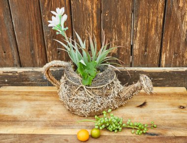 Taze yeşil olgunlaşmamış üzümler, ahşap bir zemin üzerinde mandalinalar..