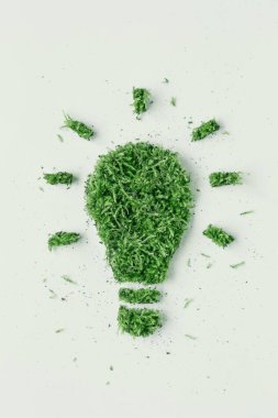 Soyut simge ampulleri çimenler ve beyaz arkaplanda yeşil yapraklar. Ekoloji kavramı yenilenebilir enerjidir. Yeşil enerji