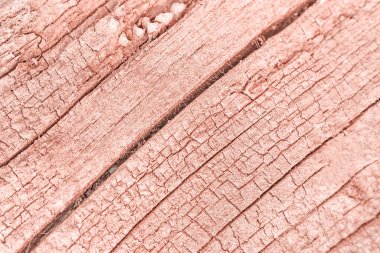 Gül sarısında moda pastel arka plan. Ağaç dokusu ağacı