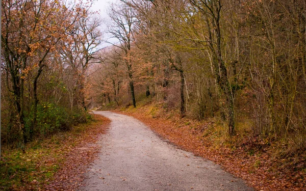 Route de campagne dans le paysage d'automne — Photo