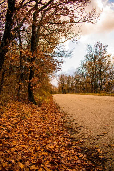 Route de campagne dans le paysage d'automne — Photo