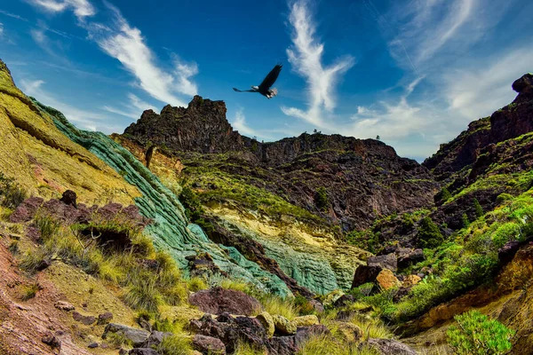Inusual Capa Roca Oxidada Con Diferentes Colores Águila Volar Cielo — Foto de Stock