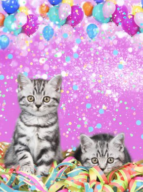 Britanya ile ilgili stenografi kedi ile konfeti ve balon