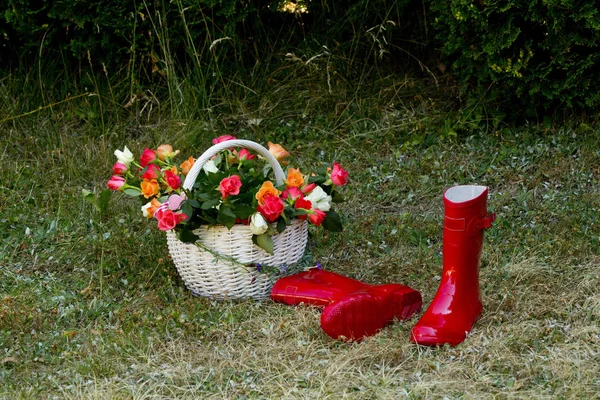 Basket with roses and rain boots in the garden
